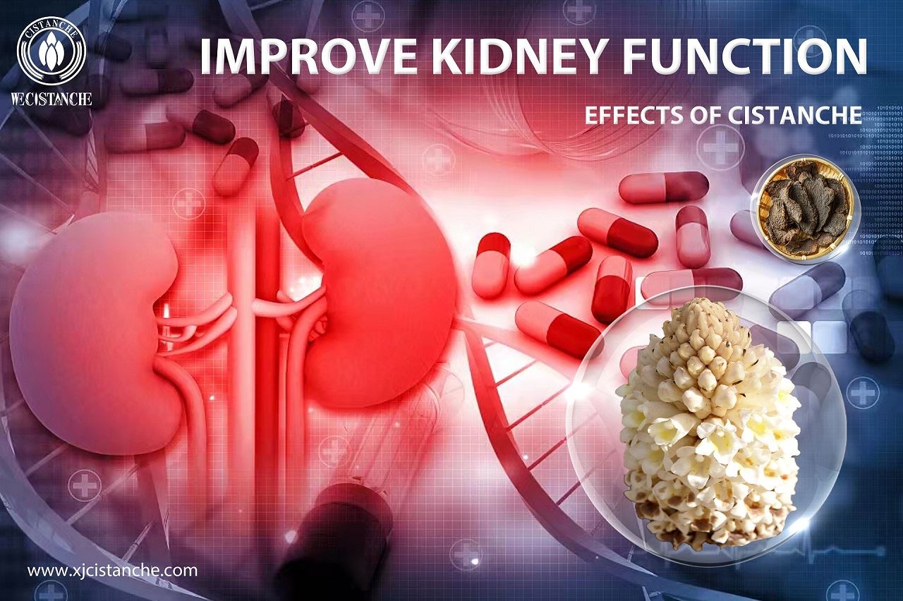 Is your kidney tired? Is your kidney tired?
