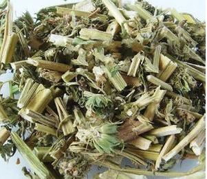 Motherwort