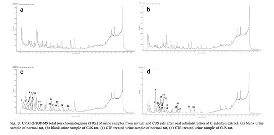 figure 3 Cistanche tubulosa extract