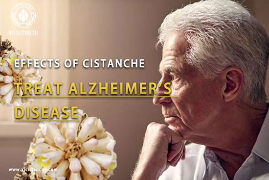 Chinese herbal medicine-Cistanche has an Anti-Alzheimer's disease function Chinese herbal medicine-Cistanche has an Anti-Alzheimer's disease function