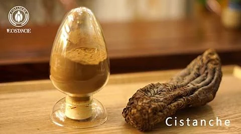Cistanche tubulosa- Cistanche tubulosa-