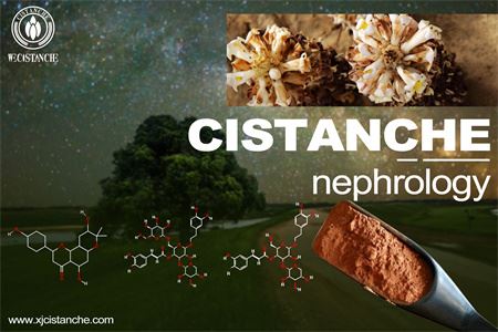 cistanche-nephrology-6(42) cistanche-nephrology-6(42)