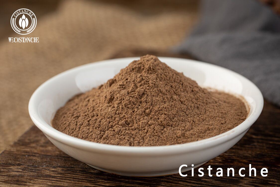 cistanche extract powder