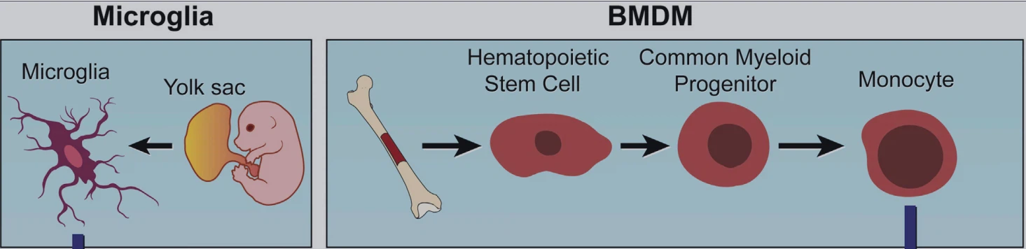 1654742568765 1654742568765