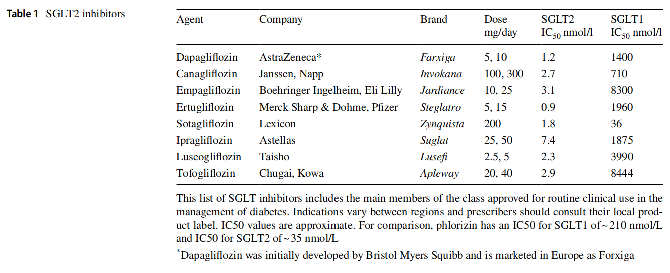 Table 1 SGLT2 inhibitors