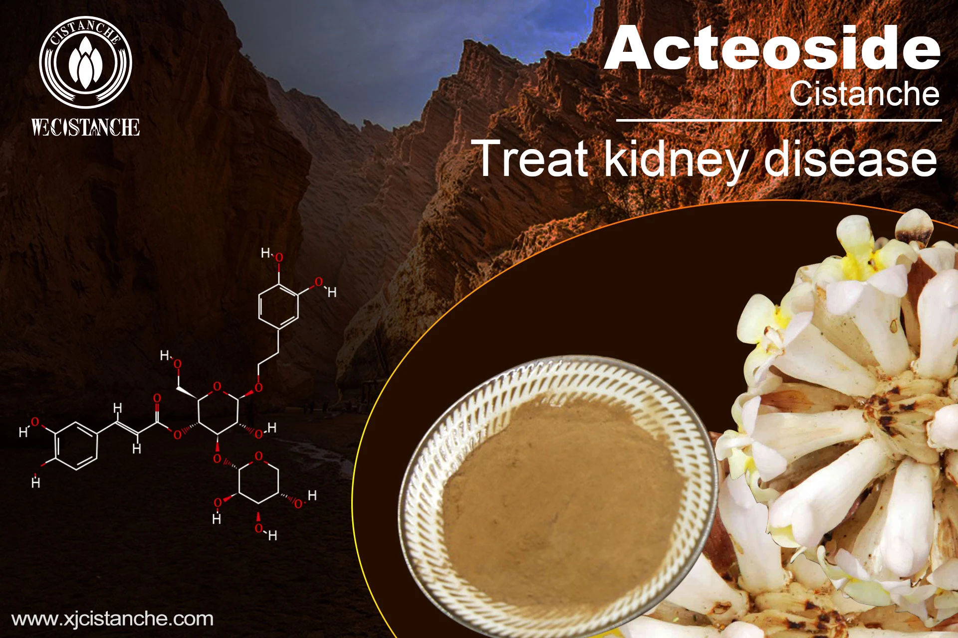 natura herb for kidney disease