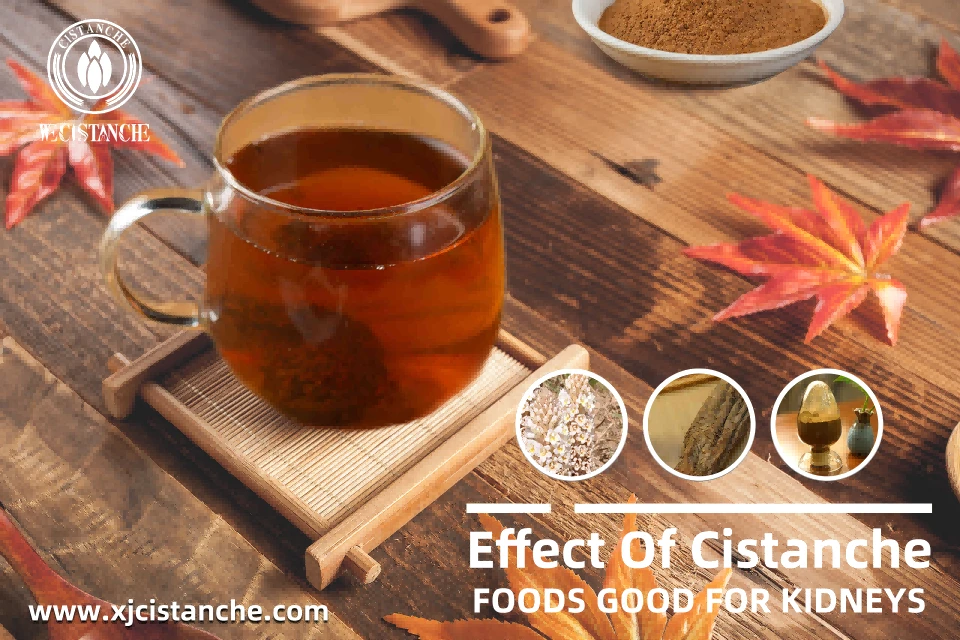 foods good for kidney