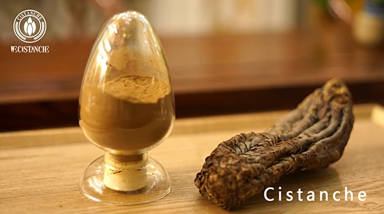 Cistanche extract (3)