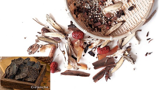 Chinese medicinal materials such as cistanche deserticola