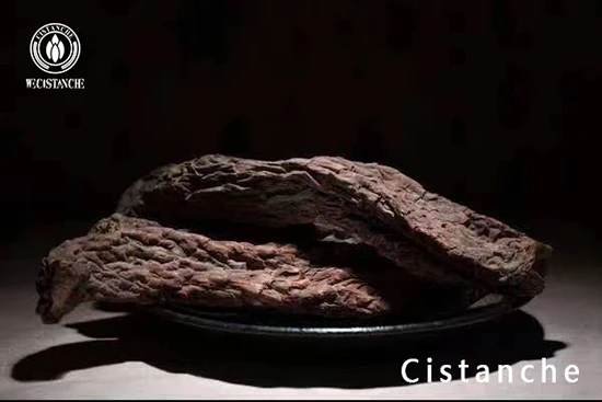 Cistanche deserticola slice (12)
