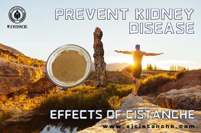 Cistanche benefits