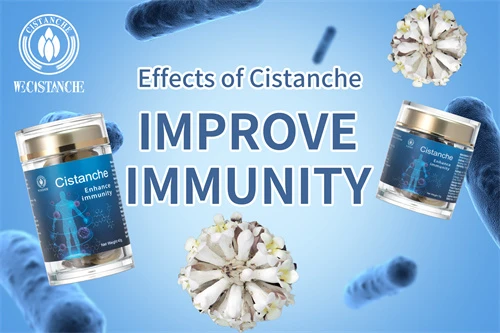 cistanche ireland