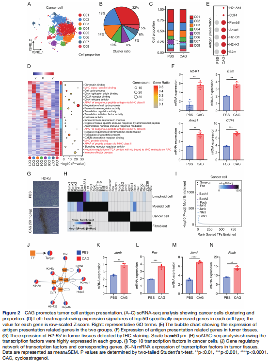 cistanche lost empire