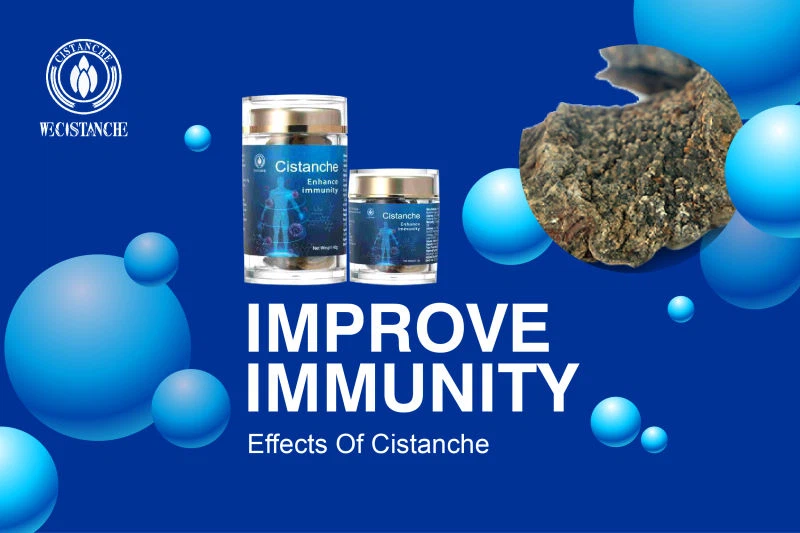 Desert ginseng—Improve immunity (26)