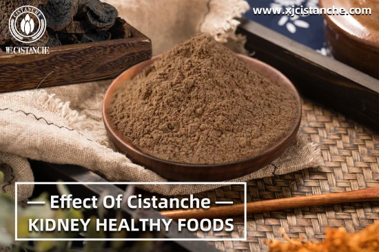Cistanche supplement Kidney Function Cistanche supplement Kidney Function