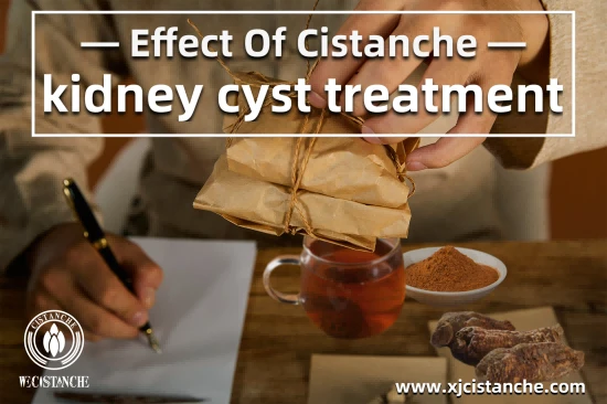 cistanche benefits for kidney function function