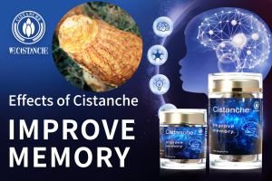 increase brain power increase brain power