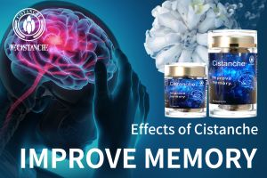 ways to improve brain function ways to improve brain function
