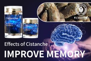 improving brain function improving brain function