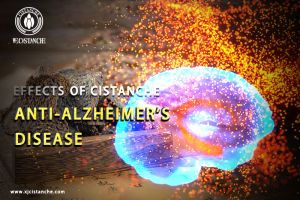 increase brain power