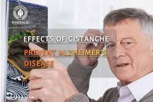 improve cognitive function