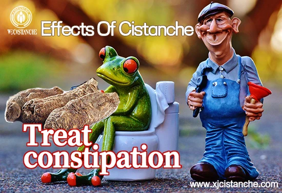 effects of cistanche-treat constipation (2)