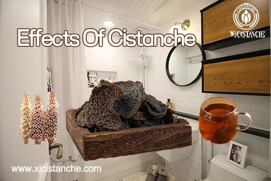 effects of cistanche-treat constipation (3)
