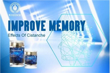 Förbättra minne, Cistanche Tubulosa Supplement Effects